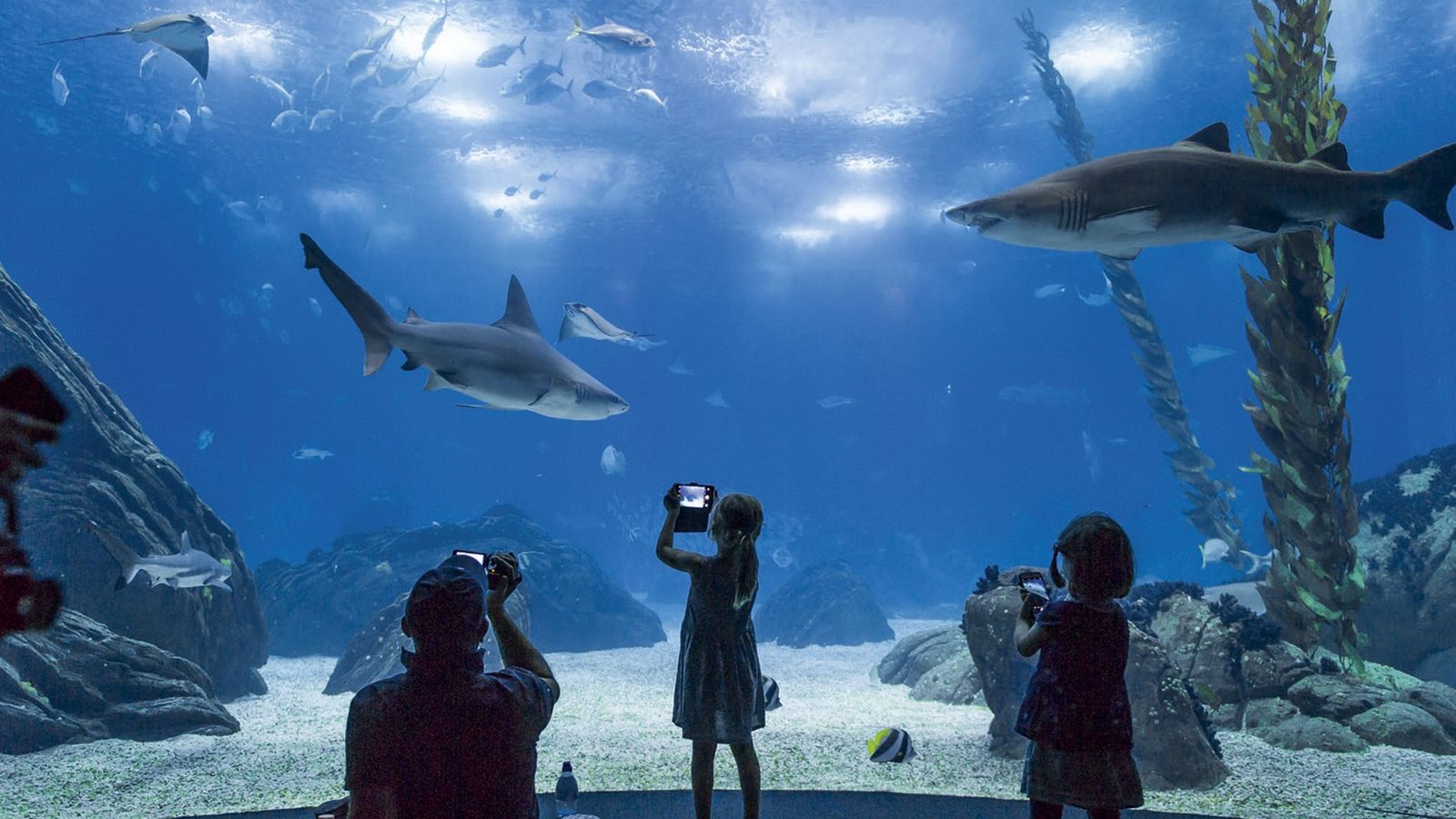 جاذبه های گردشگری لیسبون