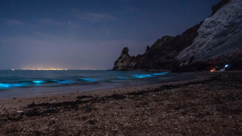 سواحل شبرنگی